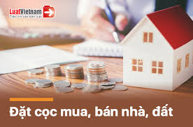 4. Hợp đồng đặt cọc